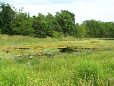 Eddyville Dunes photo by Aaron Brees